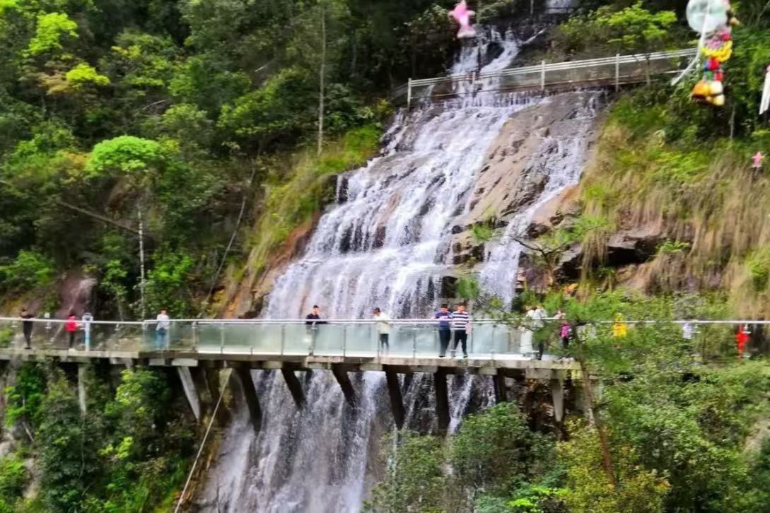 Jiulongjiang National Forest Park
